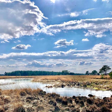 Veluwse Wolf: Natuurlijk Genieten! Otterlo Exterior photo